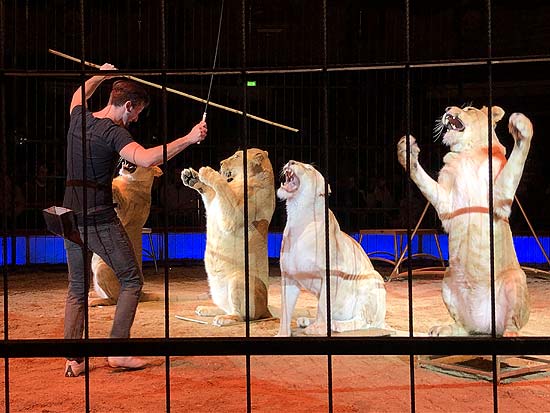 Circus Krone 3. Winterspielzeit 2020: zum ersten Mal in der Mnege mit vier Löwenzu sehen ist Thomas Lacey (27), hier bei der öffentlichen Raubtierpürobe am 23.02.2020 (©Foto: Martin Schmitz)
